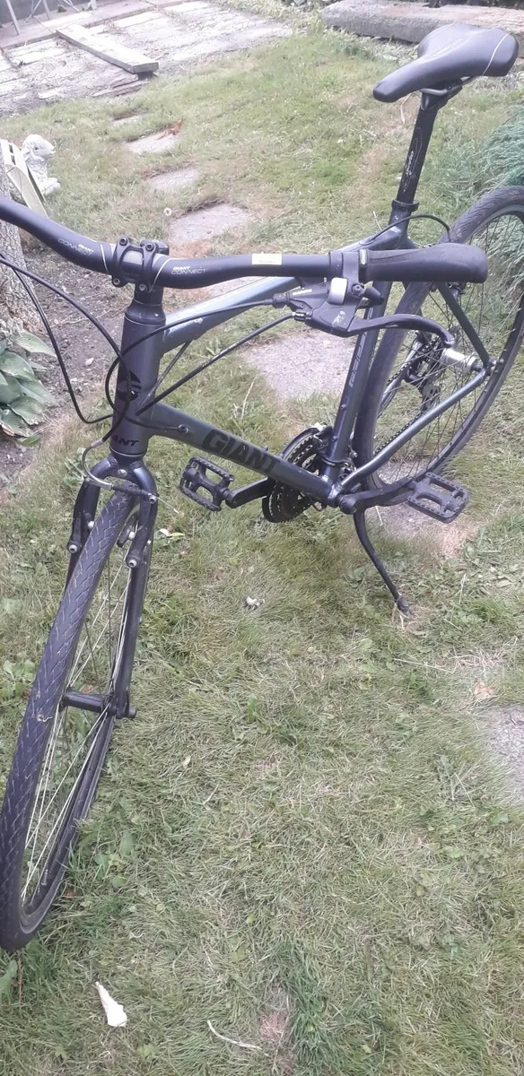 Giant Bicycle - Image 1