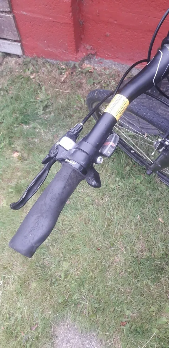 Giant Bicycle - Image 4