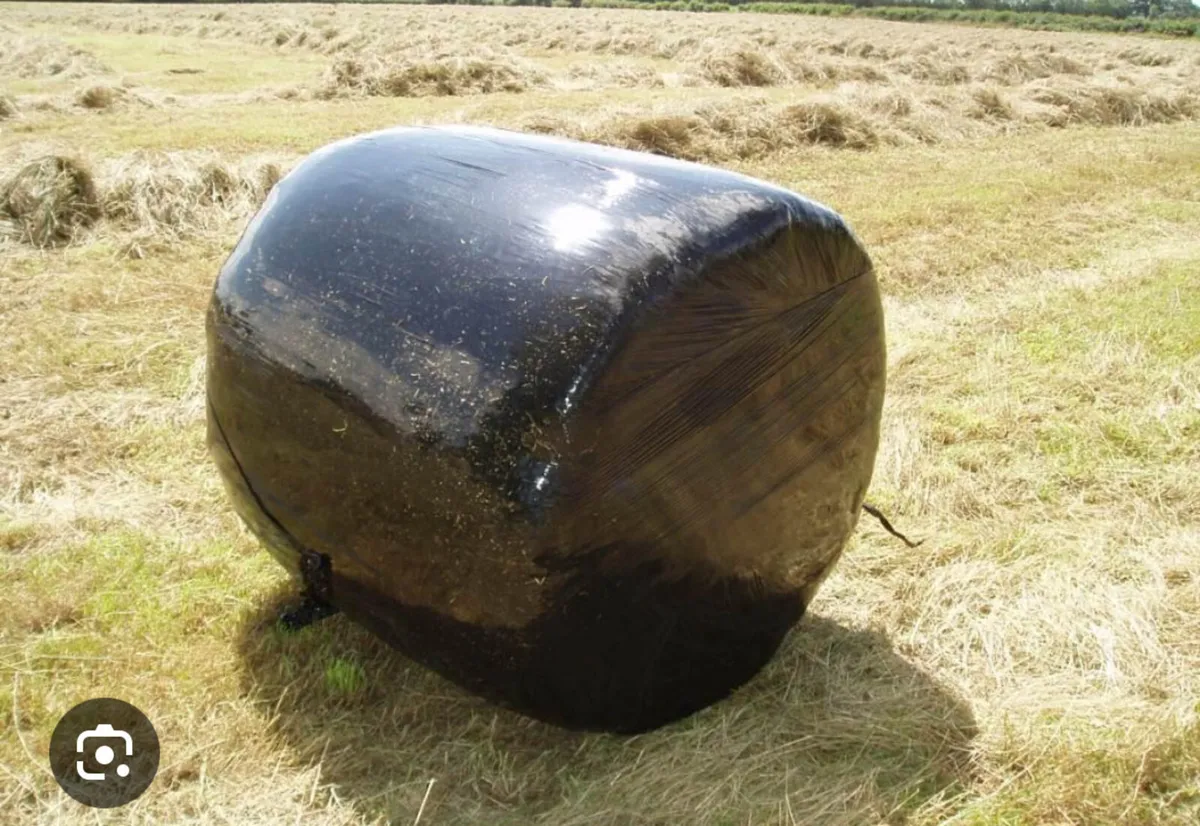100 bales of silage
