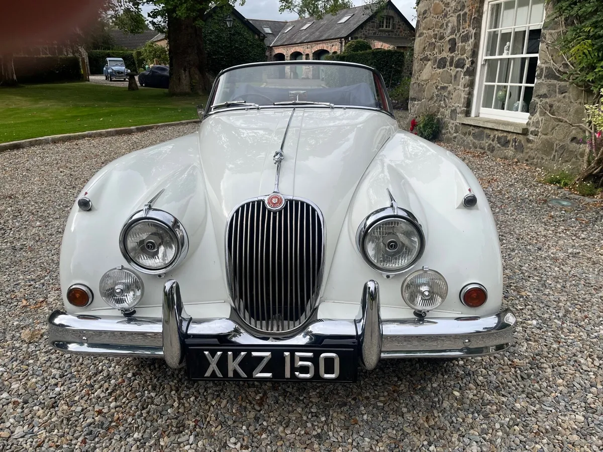 Jaguar XK 1959 - Image 2