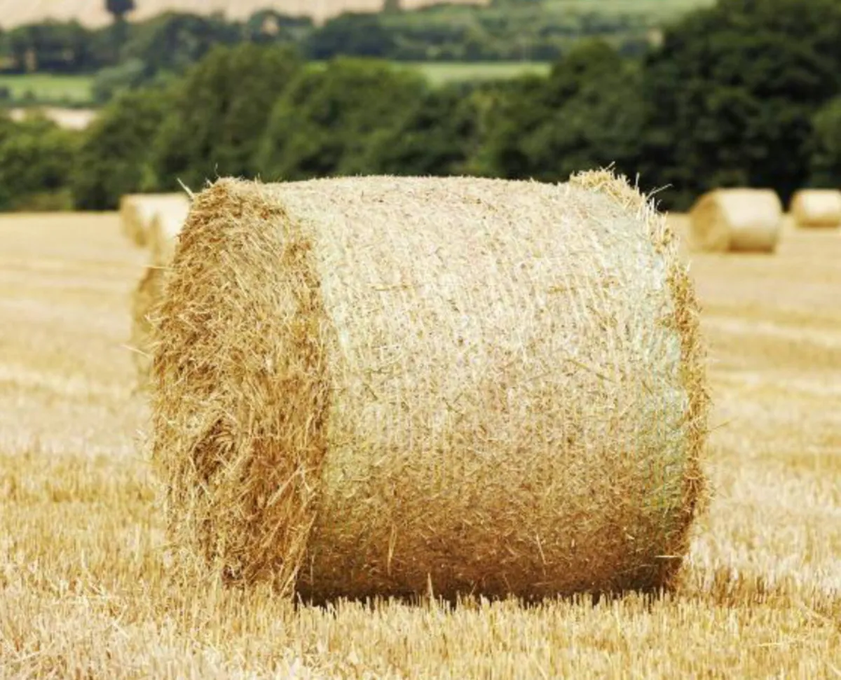 Straw