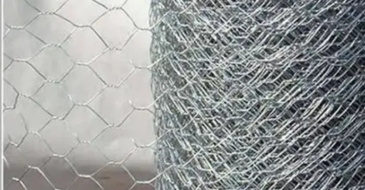 chicken wire - Image 3