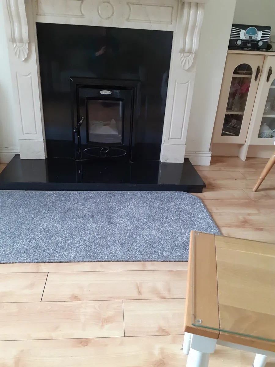 Stanley Insert Stove - Image 2