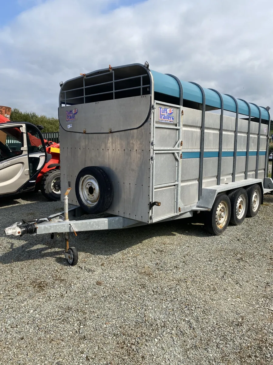 14 Foot Tuffmac Cattle Trailer - Image 2