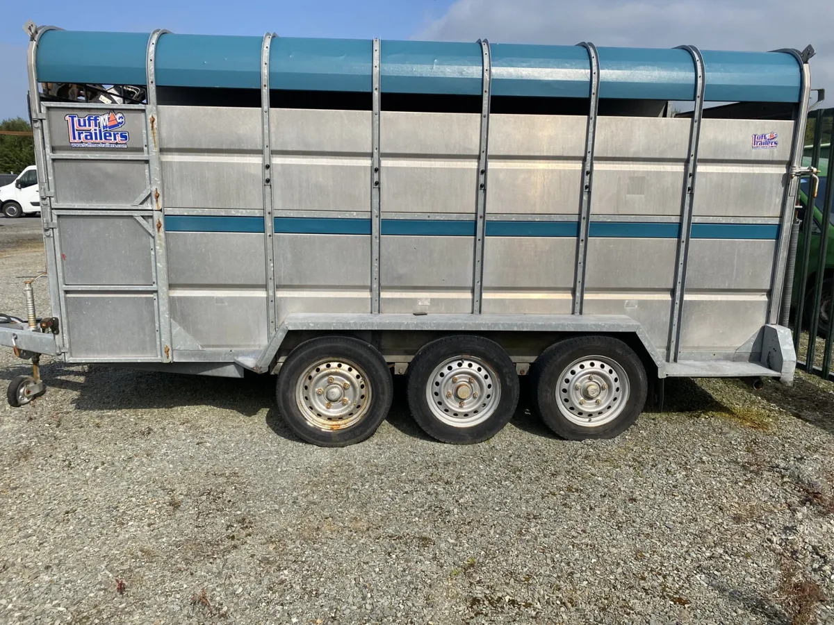 14 Foot Tuffmac Cattle Trailer - Image 3