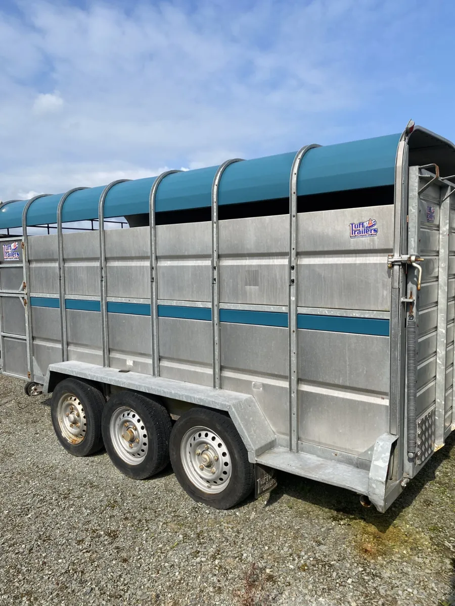 14 Foot Tuffmac Cattle Trailer - Image 4