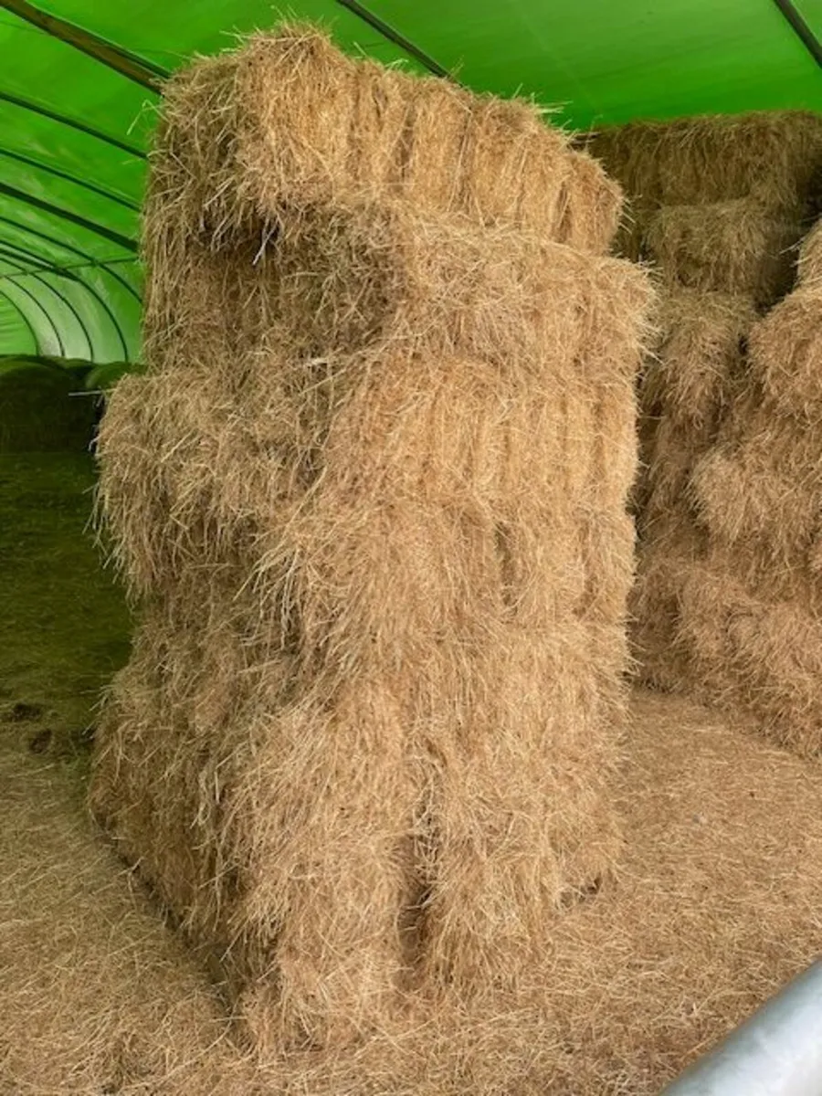 Hay