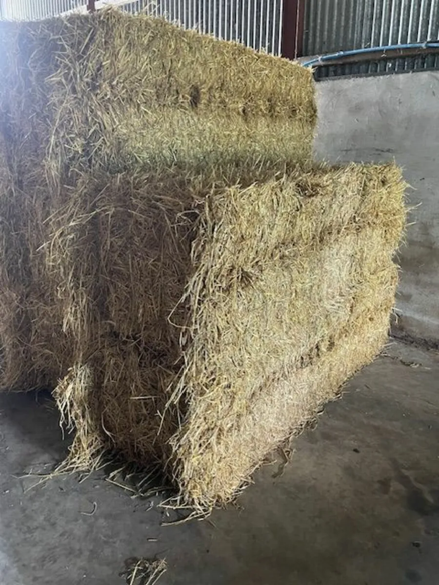 Straw
