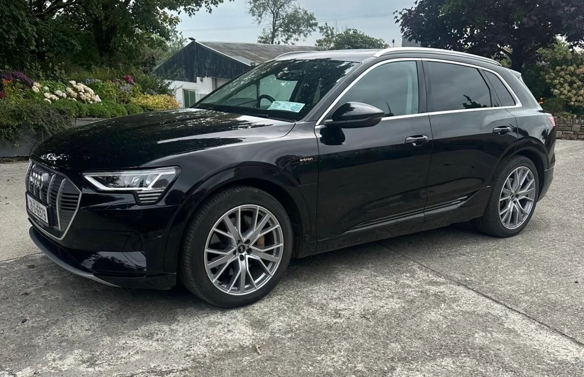 2021 Audi E-tron Panoramic sunroof - Image 1