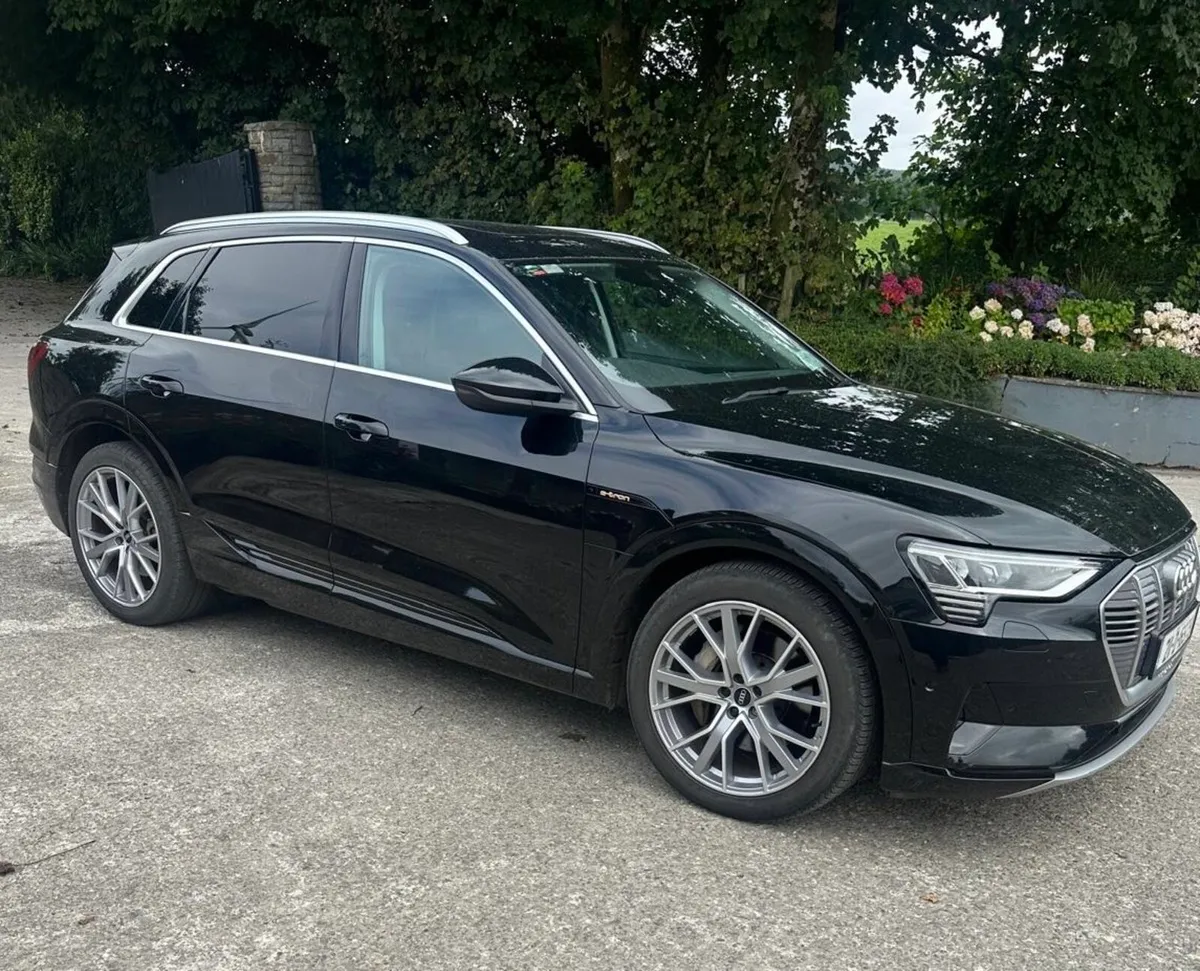 2021 Audi E-tron Panoramic sunroof - Image 3