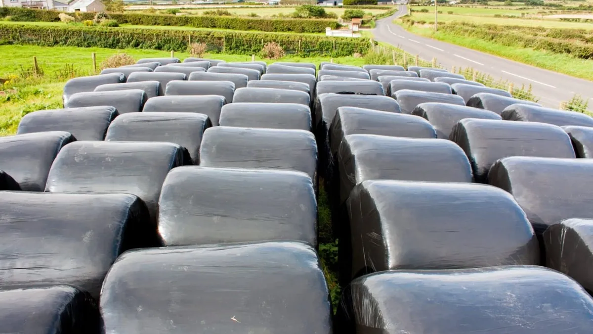 Silage Bales for sale
