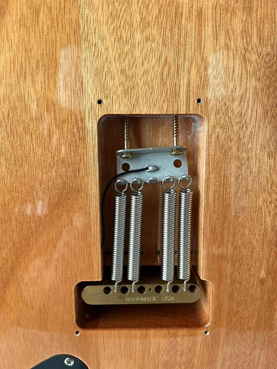 PRS SE Santana (upgraded) - Image 2