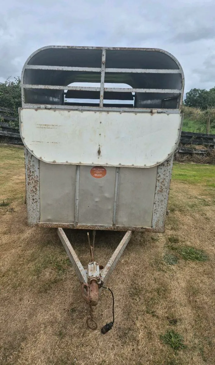 8 x 4,5 cattle/sheep trailer - Image 2