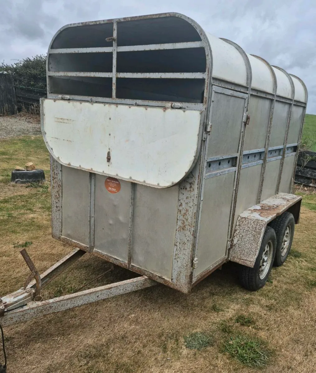 8 x 4,5 cattle/sheep trailer - Image 3