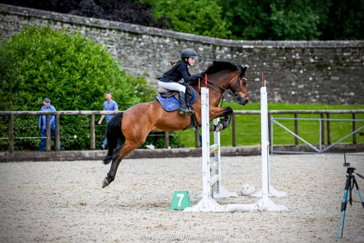 138 pony forsale - Image 1