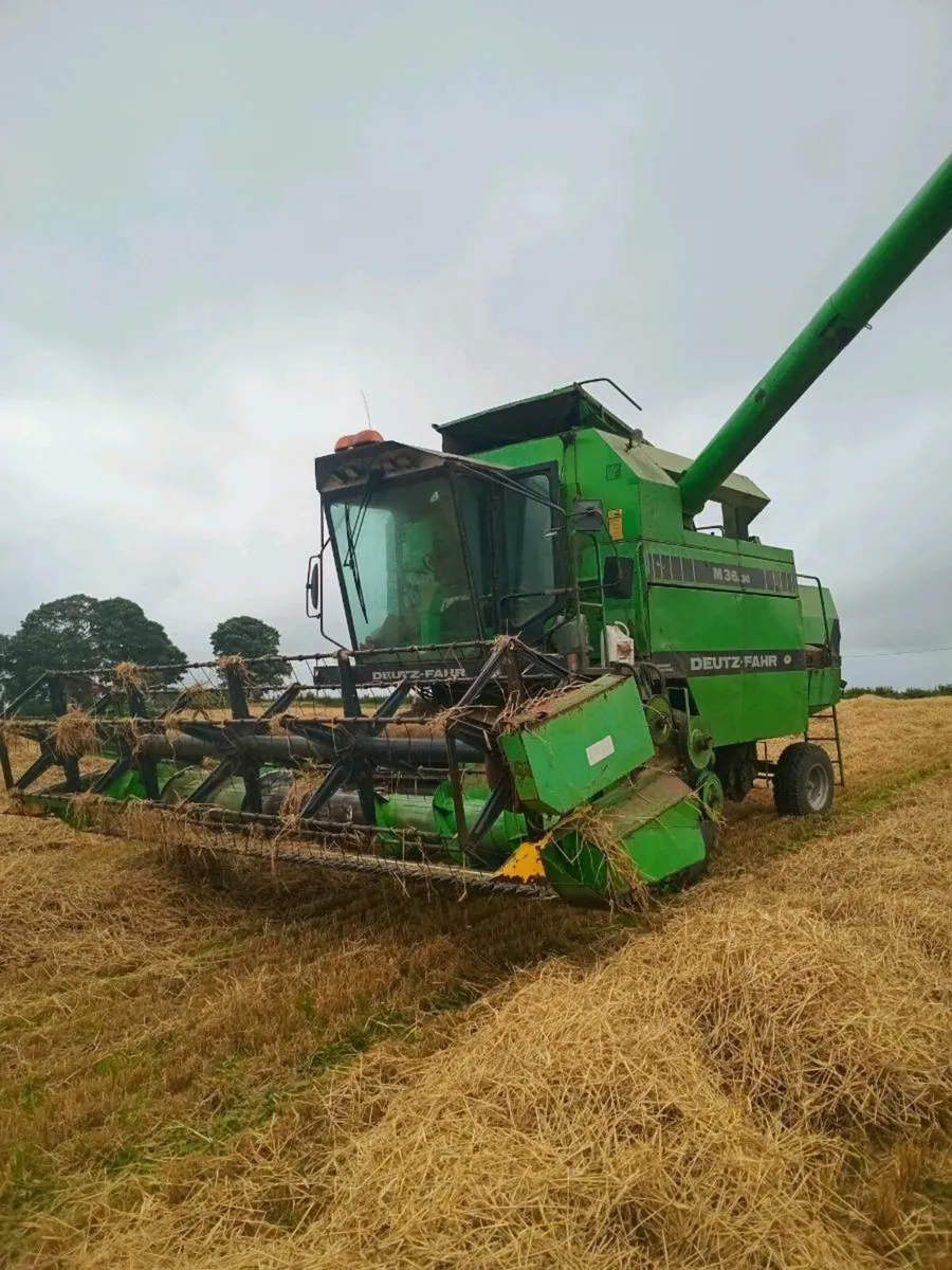 Deutz Fahr 3630 - Image 1