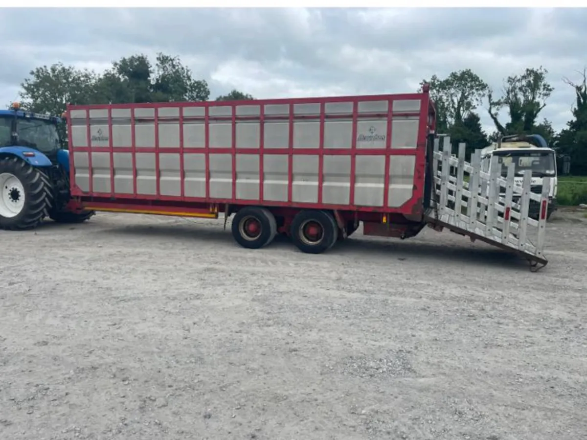 Cattle Trailer for Auction Tomorrow - Image 3