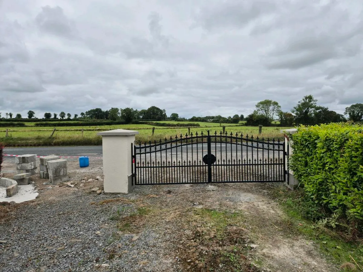 Decorative gate - Image 1