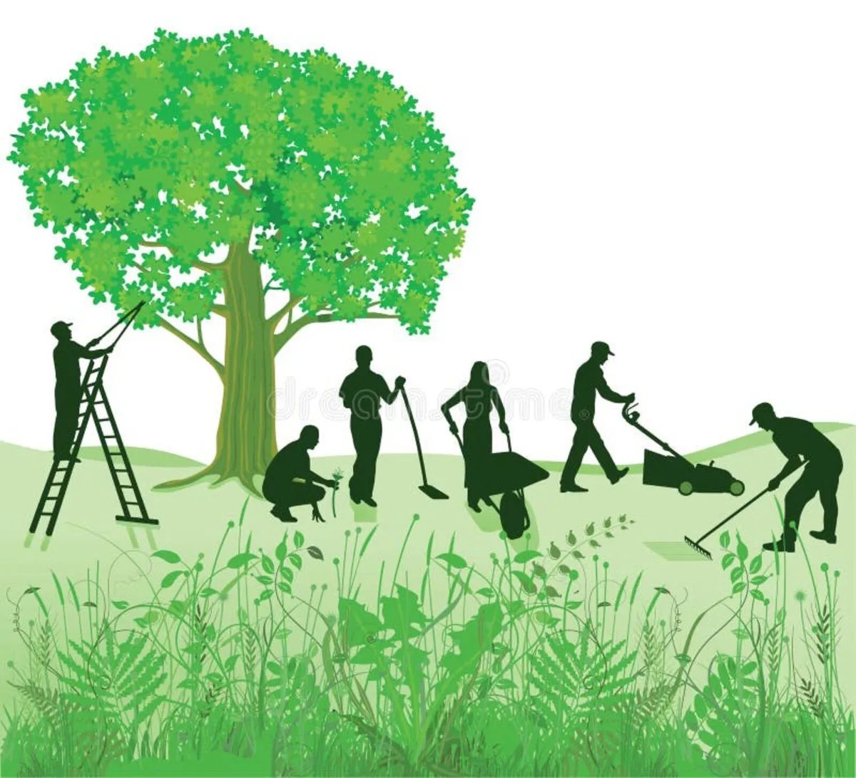 Tree And Gardening Services - Image 2
