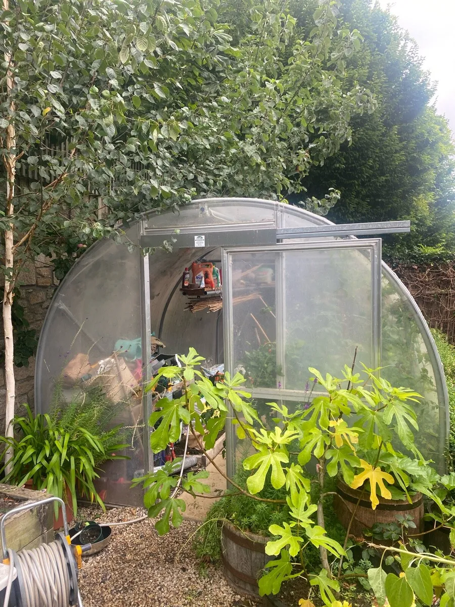 Polly tunnel - Image 1