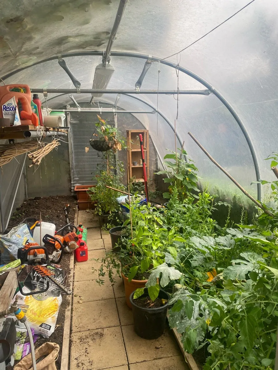 Polly tunnel - Image 3