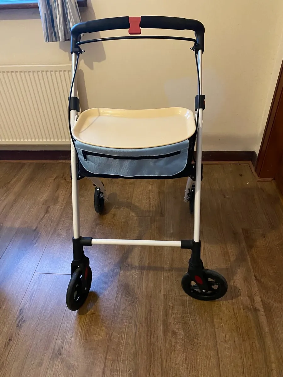 Disability Walker by Days Breeze - Image 1