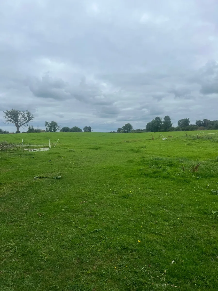 Horse grazing/livery - Image 1