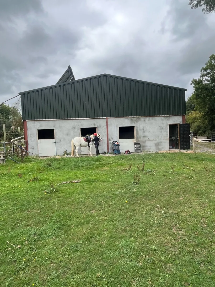 Horse grazing/livery - Image 2