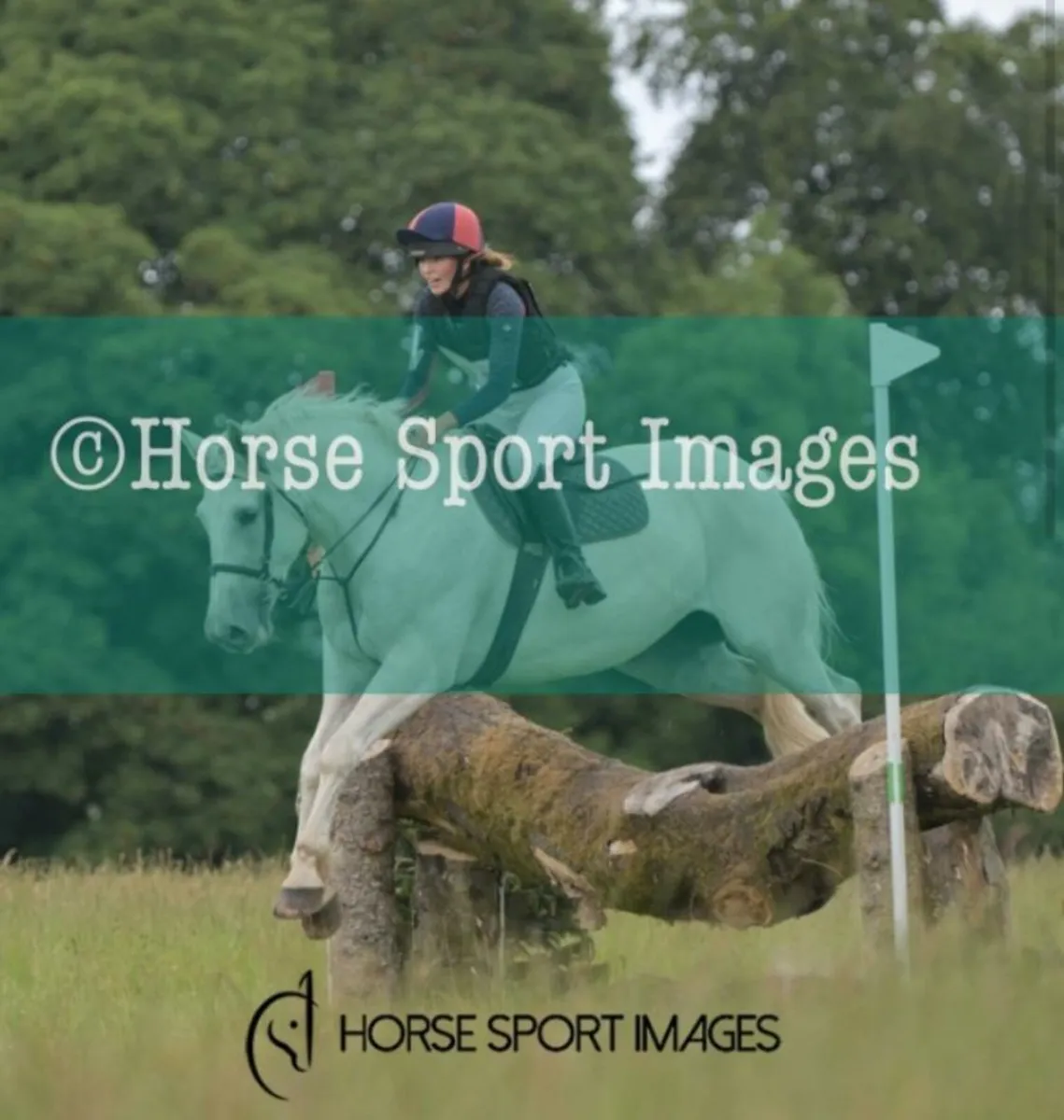 Hunter/ Eventer - Image 2
