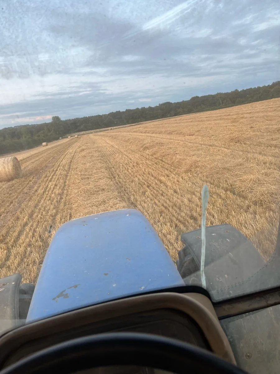 Barley straw