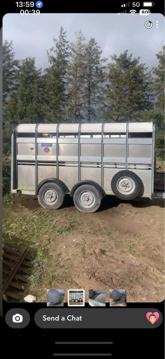 Iforwilliams cattle trailer - Image 1