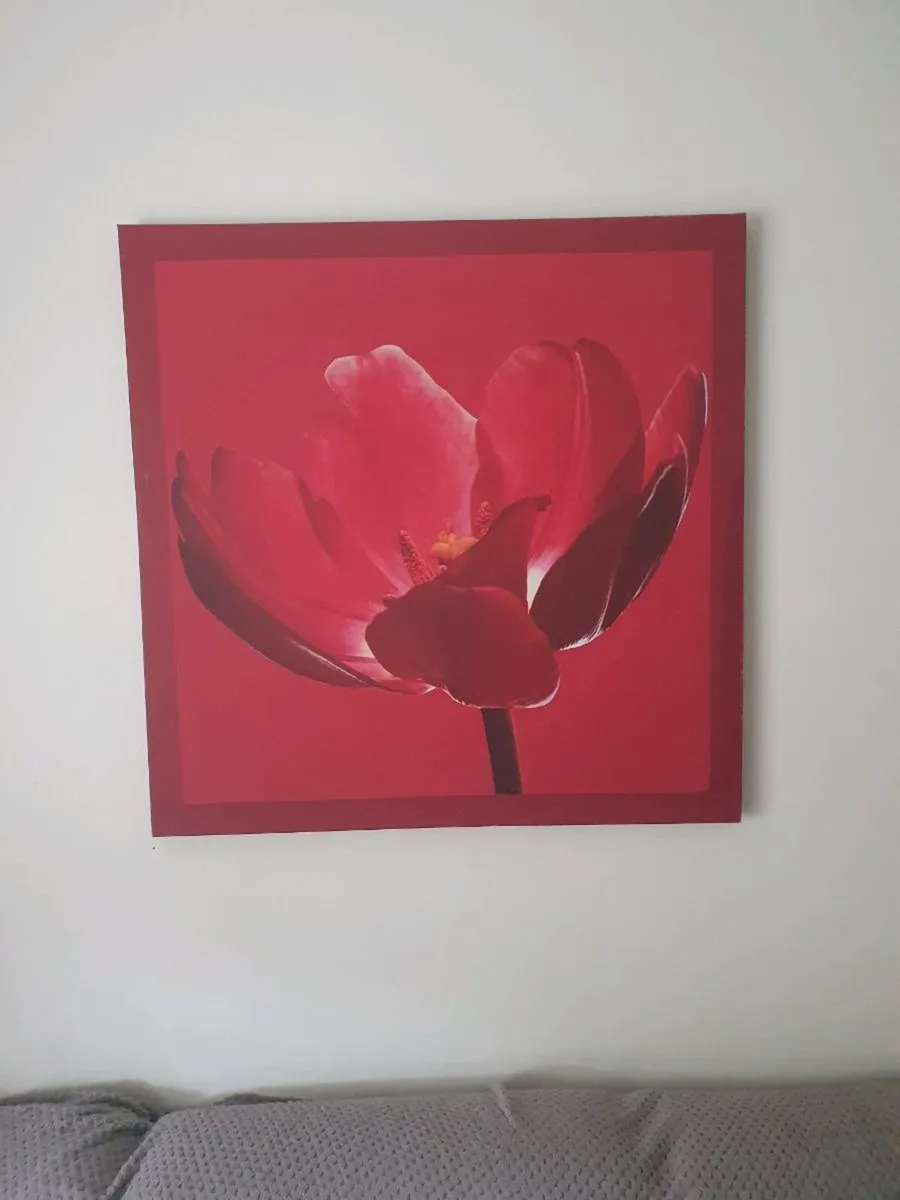Canvas.