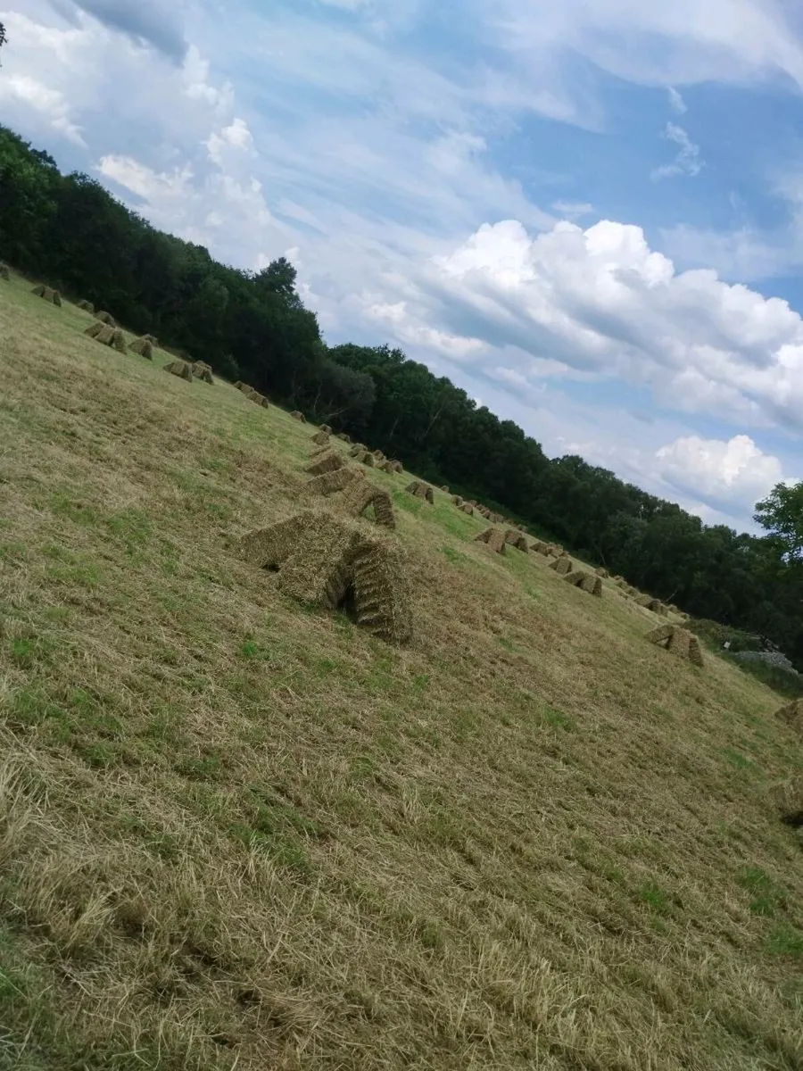 Square bales of hay for sale 1st crop - Image 4