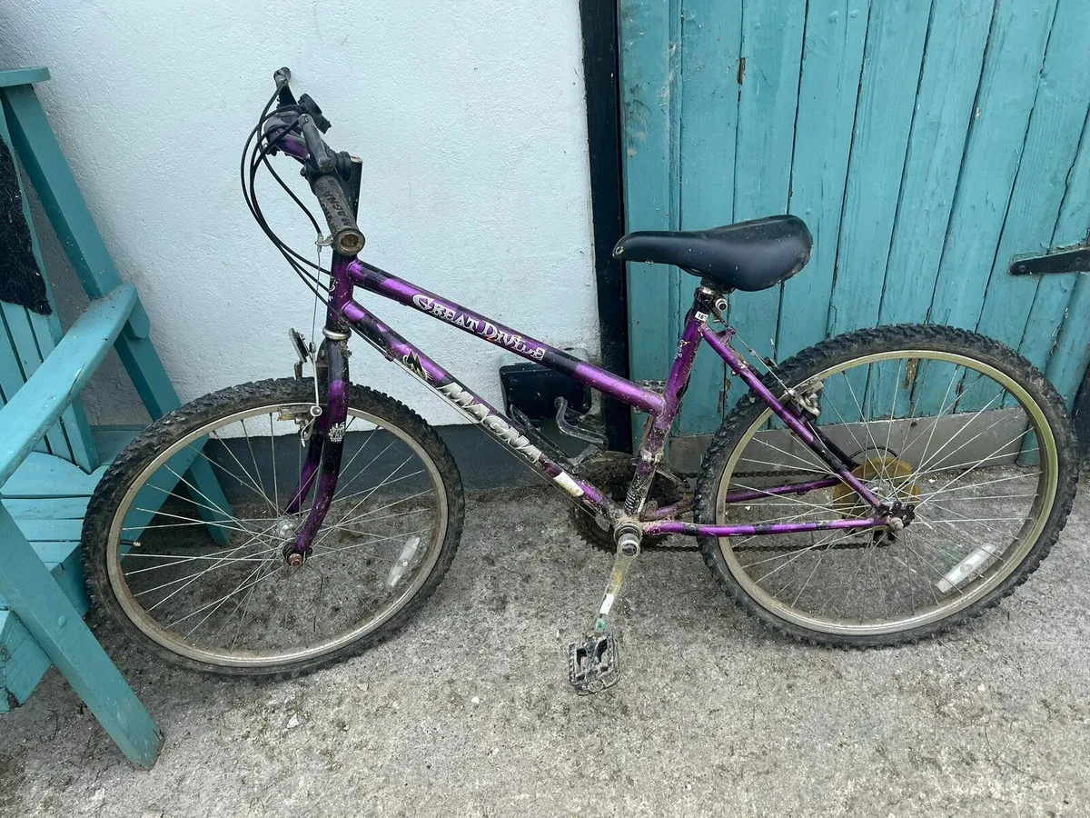 Bicyicles - Image 2