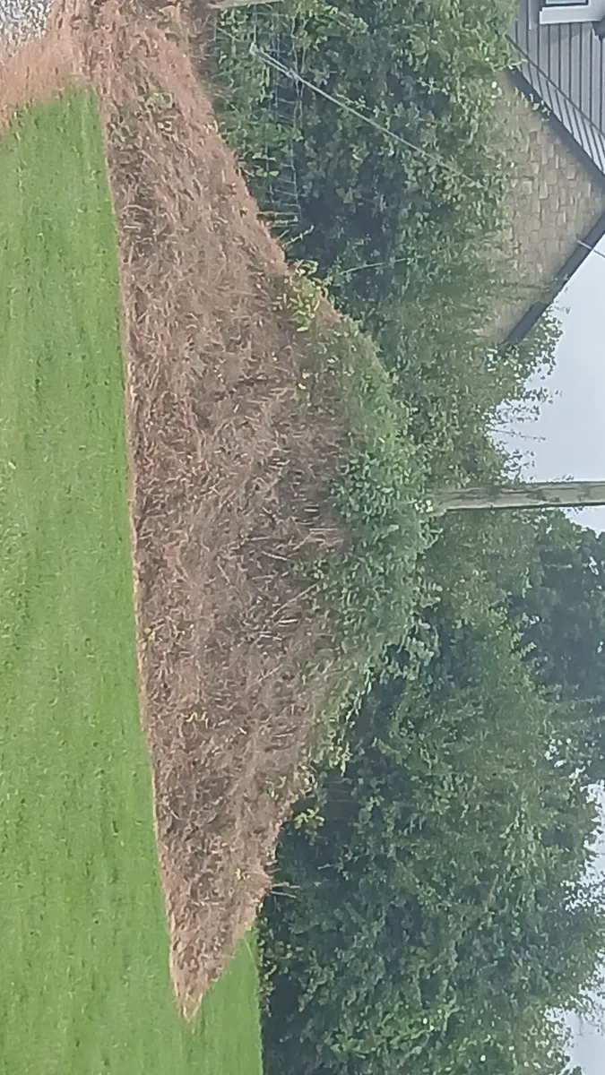Topsoil
