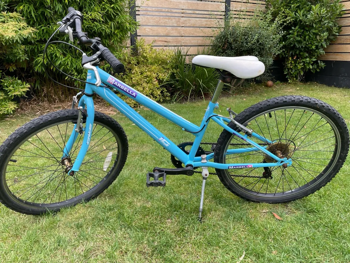 Bike - Image 1
