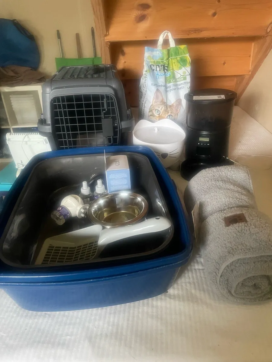Cat Equipment - everything you need