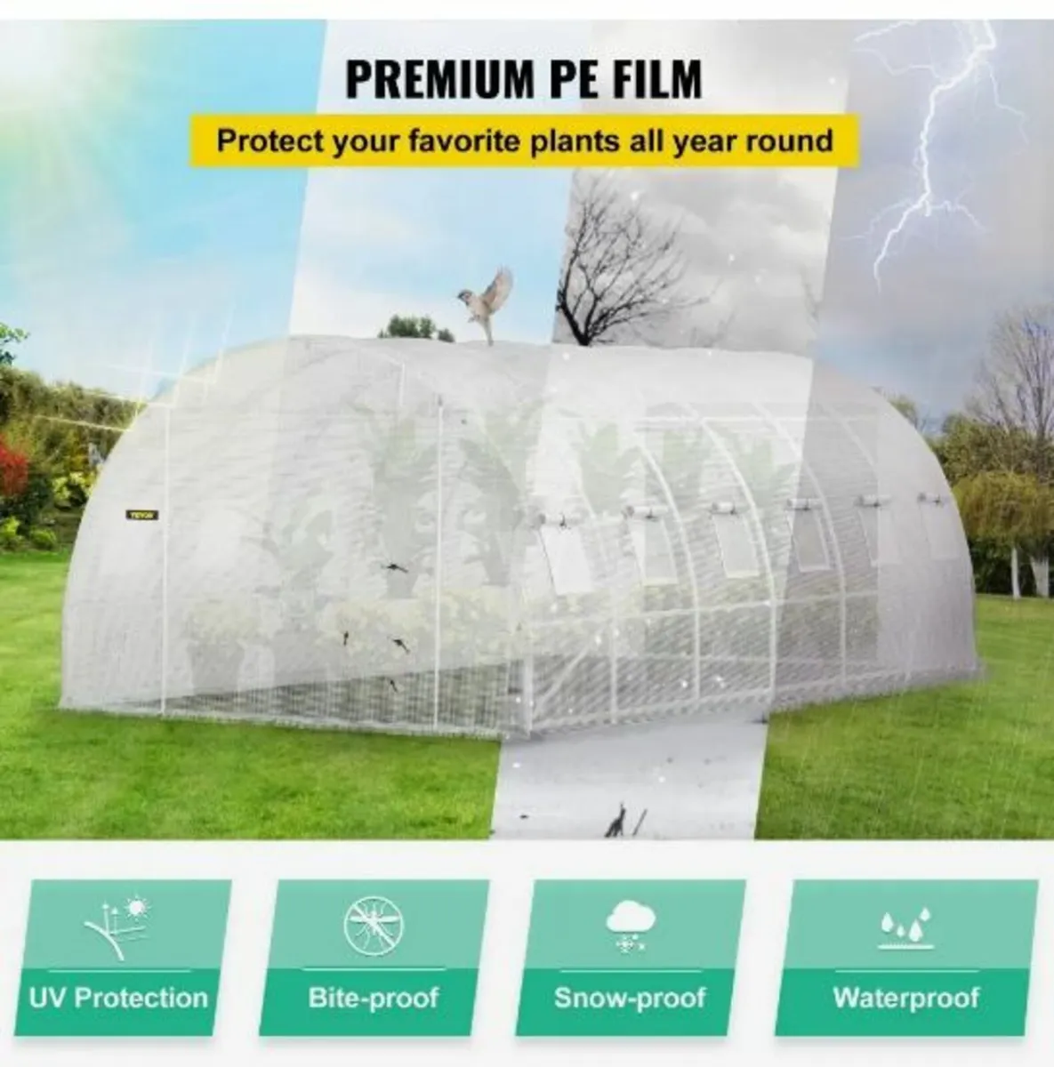 Walk-in Tunnel Greenhouse - Image 4
