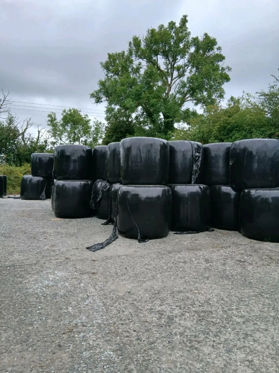 Silage
