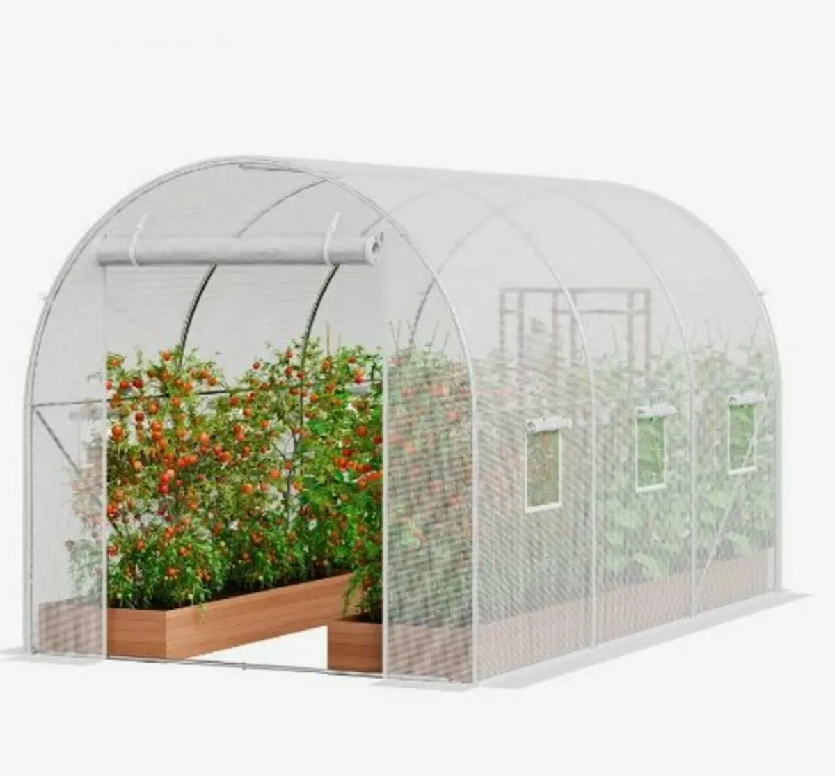 Walk-in Tunnel Greenhouse - Image 1
