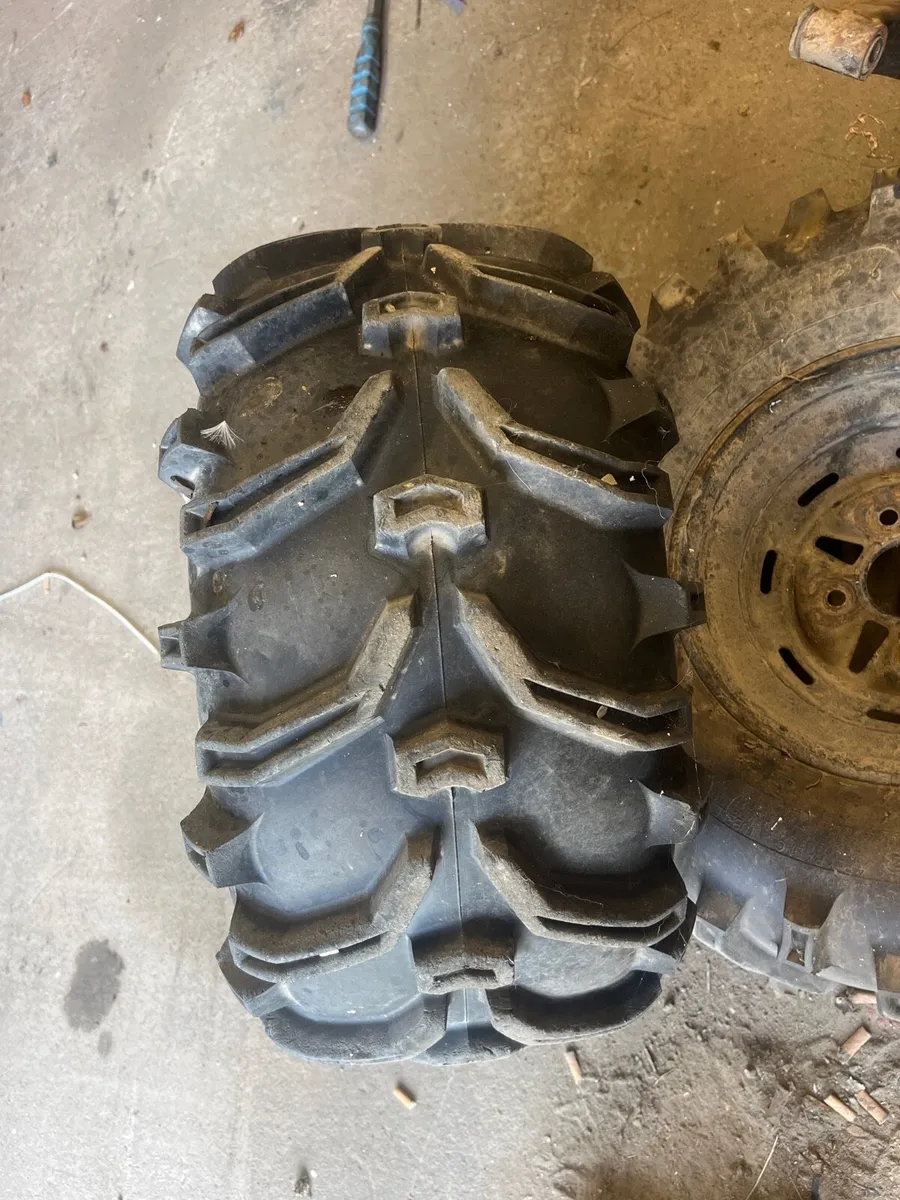 🔴350 grizzly breaking 🔴 - Image 2