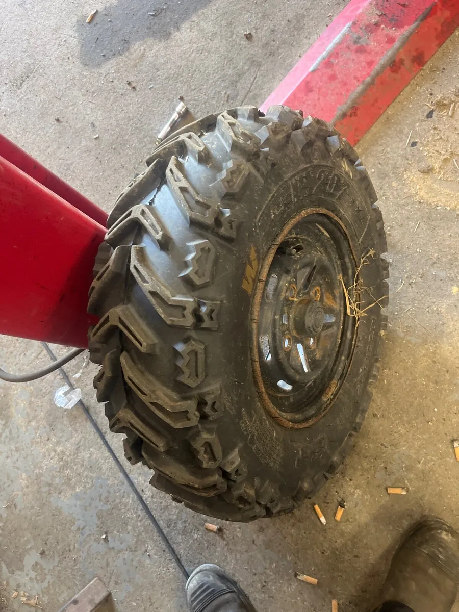 🔴350 grizzly breaking 🔴 - Image 4