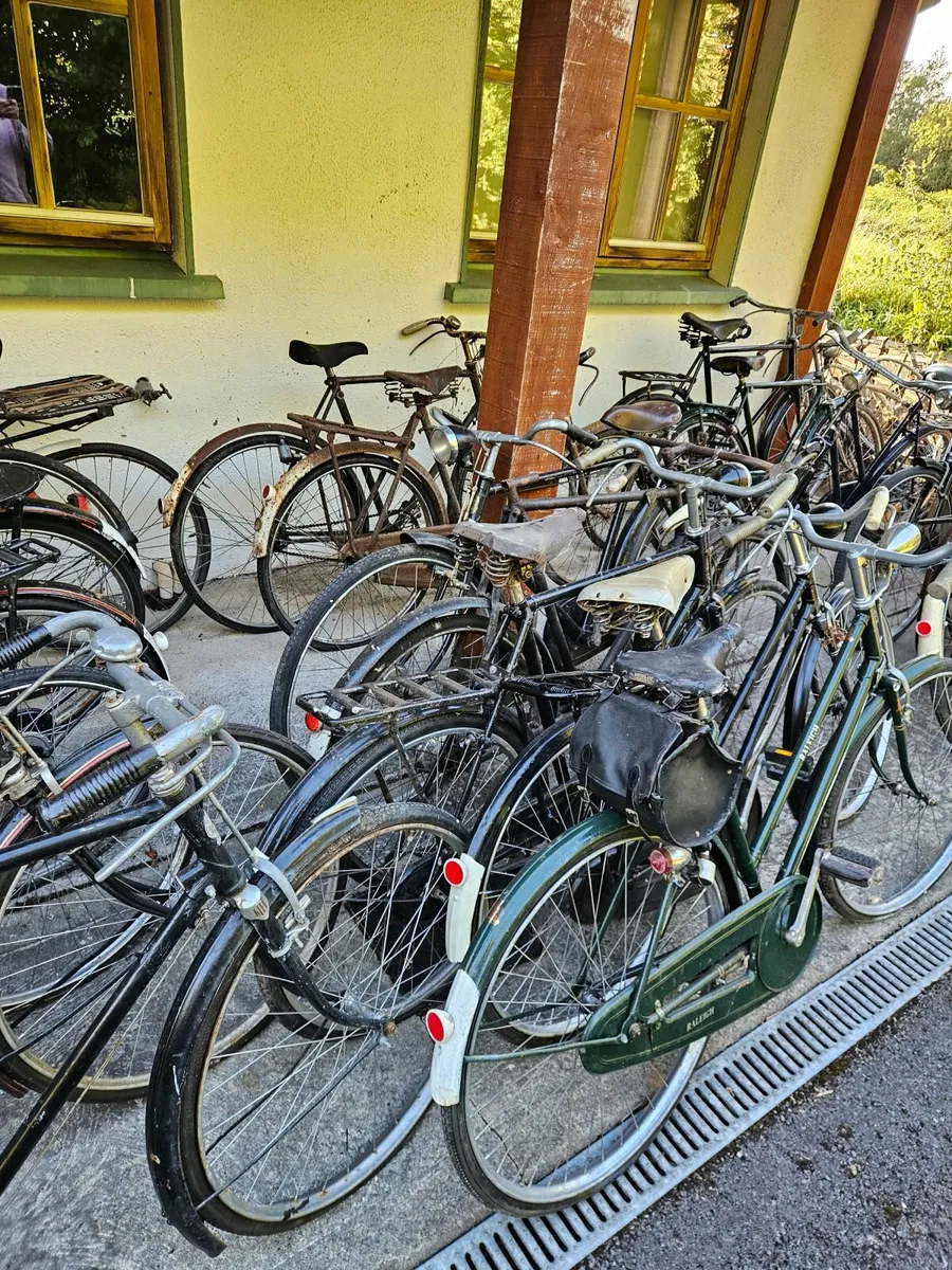 vintage bicycle Collection - Image 2