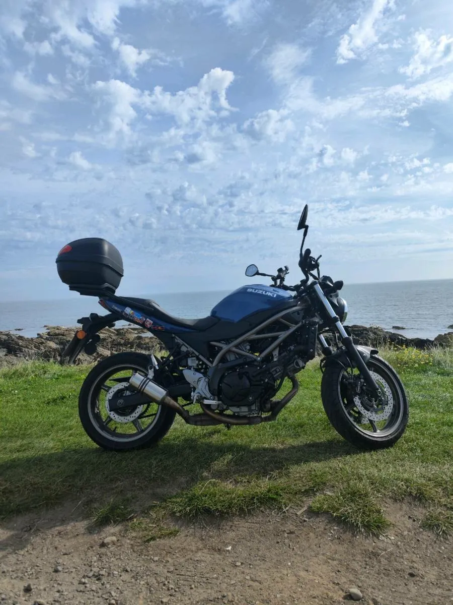 Suzuki SV 650 ABS 2024 - Image 2