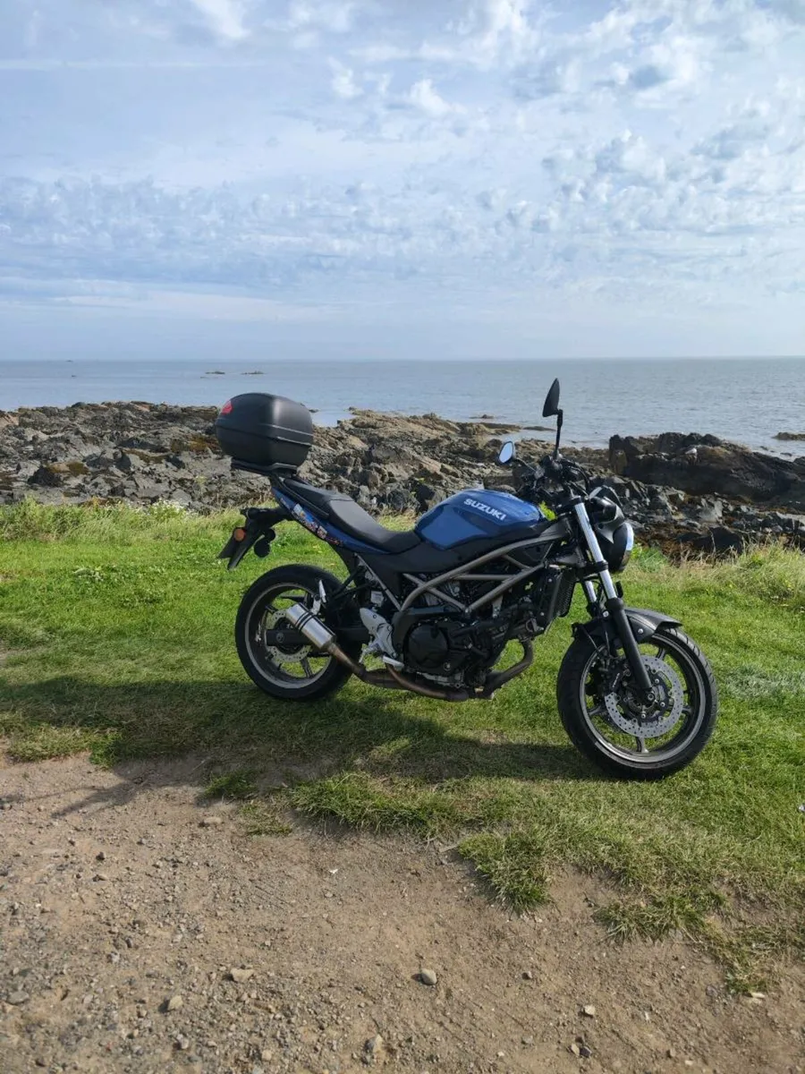 Suzuki SV 650 ABS 2024 - Image 1