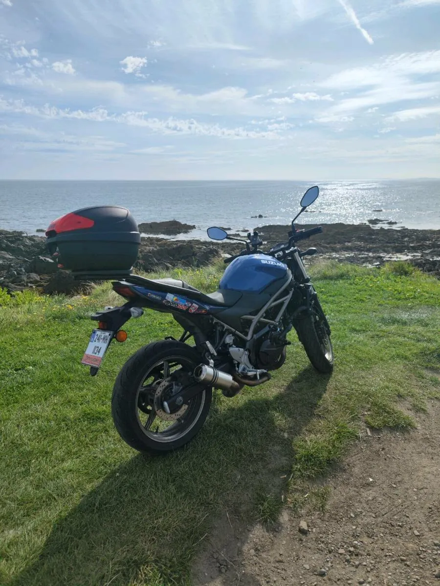 Suzuki SV 650 ABS 2024 - Image 4