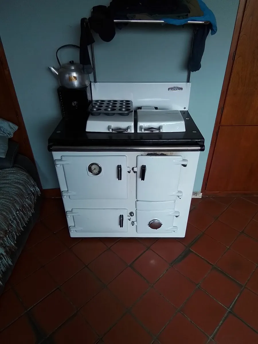 Solid fuel cooker - Image 1