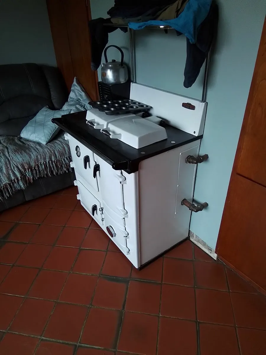 Solid fuel cooker - Image 3