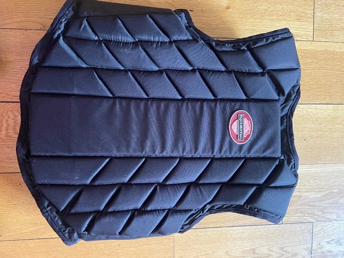 Horseriding backbrace - Image 1