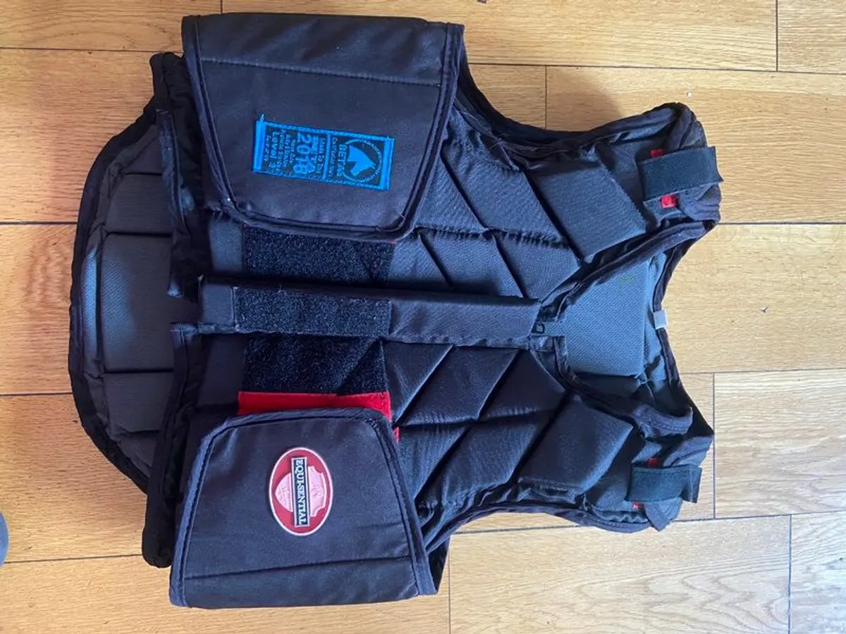 Horseriding backbrace - Image 2